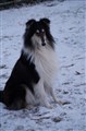 DSC01798.JPG