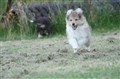 DSC03134.JPG