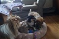 DSC03383.JPG