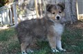 DSC07625.JPG